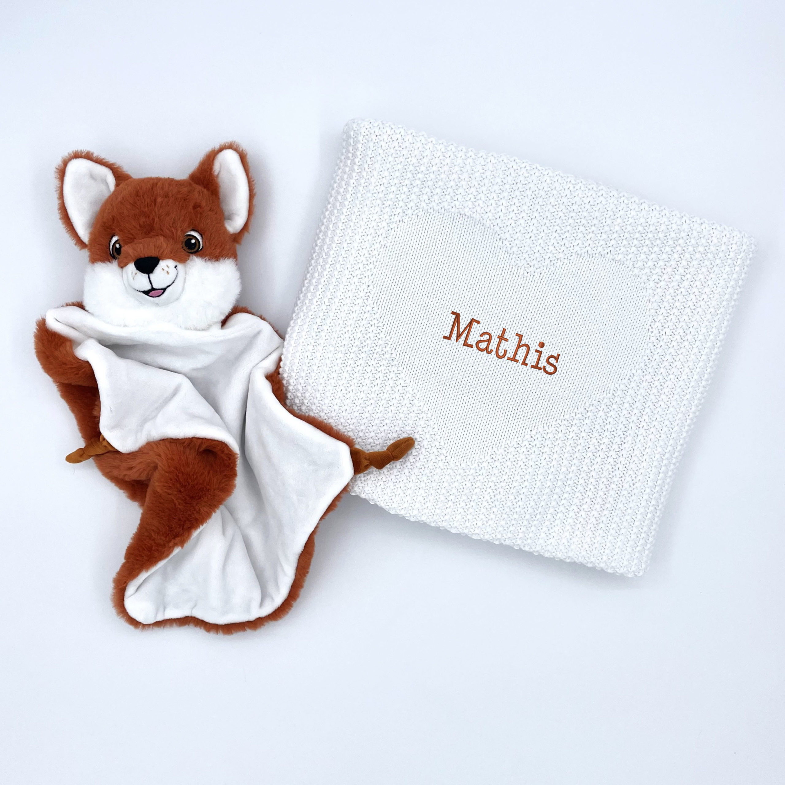 Coffret Cosy Tricot - Renard